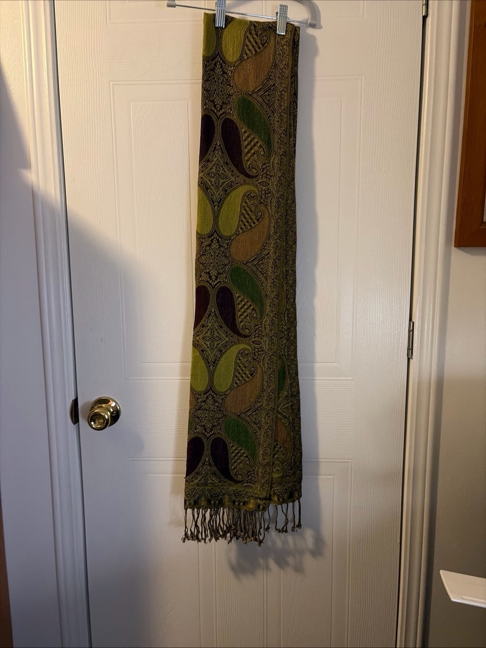Pashmina Women's Multicolor Paisley Jacquard Scarf Fringe